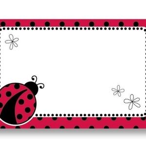 50 Lady Bug Enclosure Cards and Envelopes for Flowers Messages Gifts